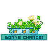 Gif animé bonne chance lapin
